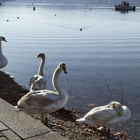 La Casetta Sul Lago Viverone Kültér fotó